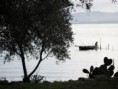 /album/incantevole-capojale/a397428-2556133707308-464941272-n-jpg/